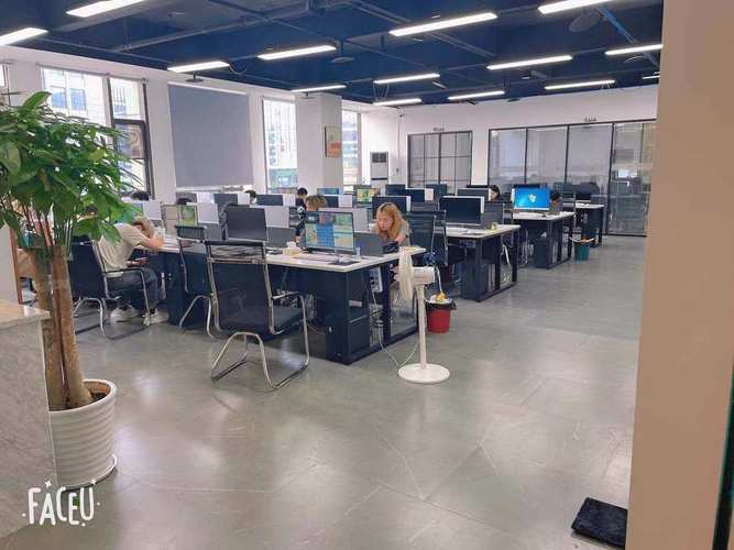 聚游共创成都网络游戏
